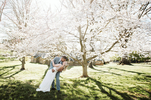 bride and groom kiss under blooming tree